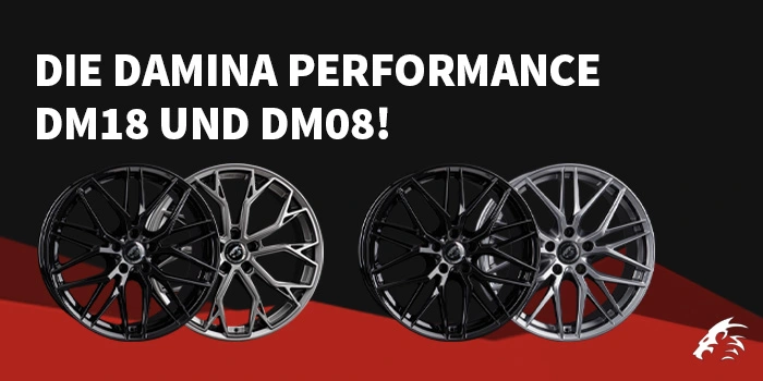Damina Performance