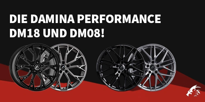 Damina Performance - Promo - 2025