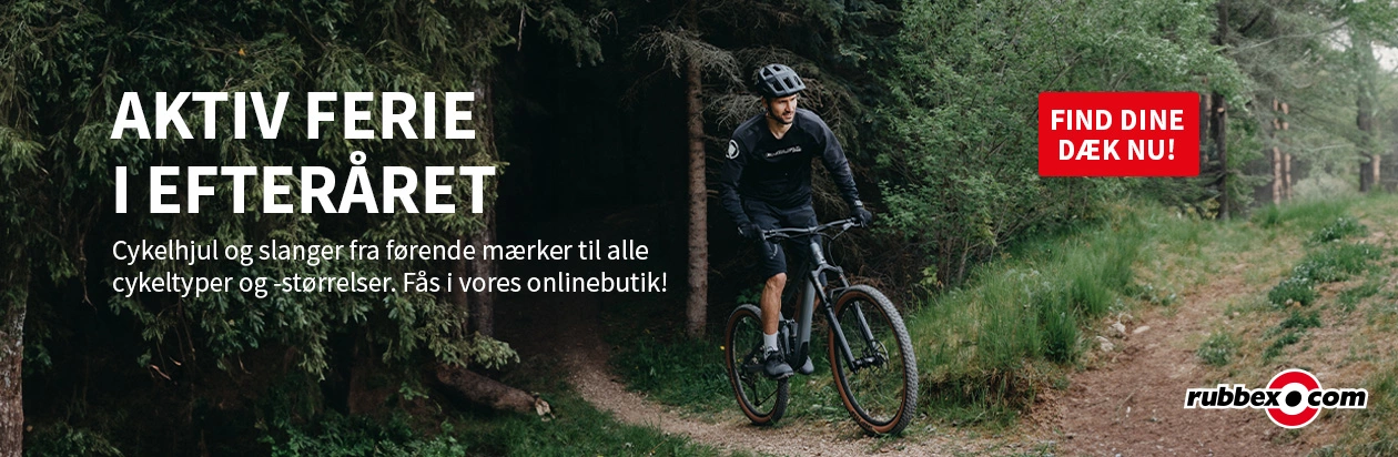 Cykeldæk