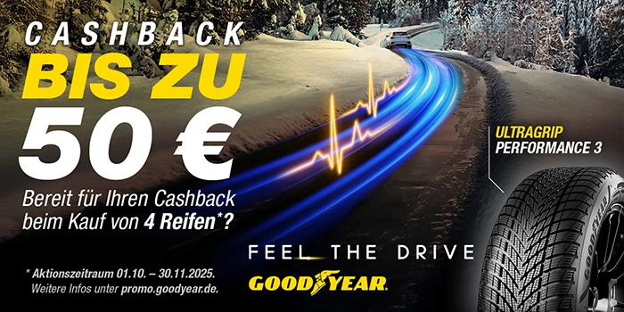 Goodyear Winter Promo 2025